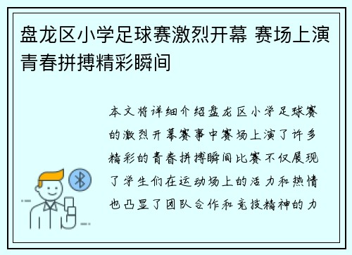 盘龙区小学足球赛激烈开幕 赛场上演青春拼搏精彩瞬间