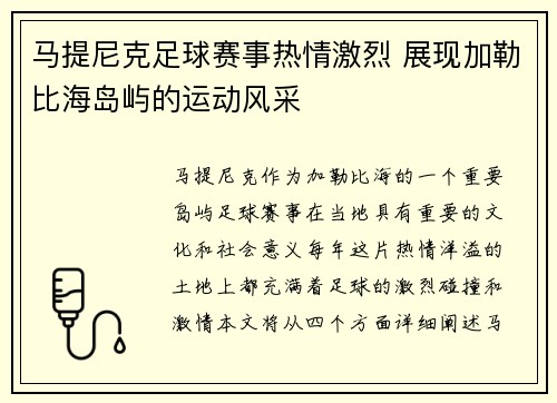 马提尼克足球赛事热情激烈 展现加勒比海岛屿的运动风采