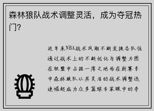 森林狼队战术调整灵活，成为夺冠热门？