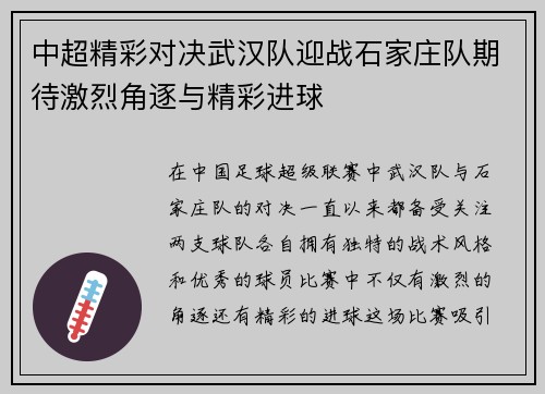中超精彩对决武汉队迎战石家庄队期待激烈角逐与精彩进球