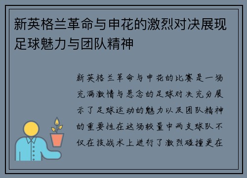 新英格兰革命与申花的激烈对决展现足球魅力与团队精神