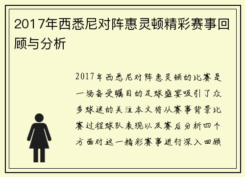 2017年西悉尼对阵惠灵顿精彩赛事回顾与分析